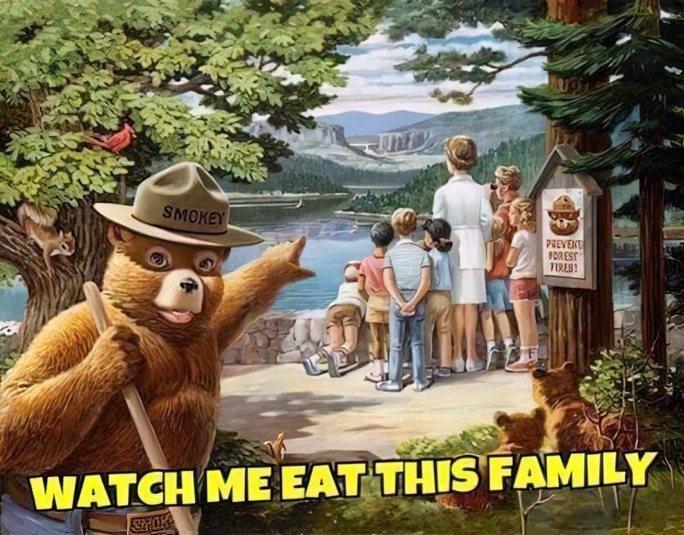 Bear with a TikTok