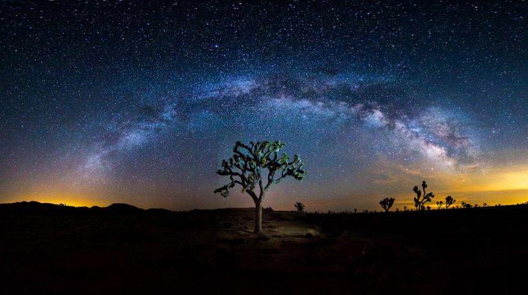Giants in The Desert