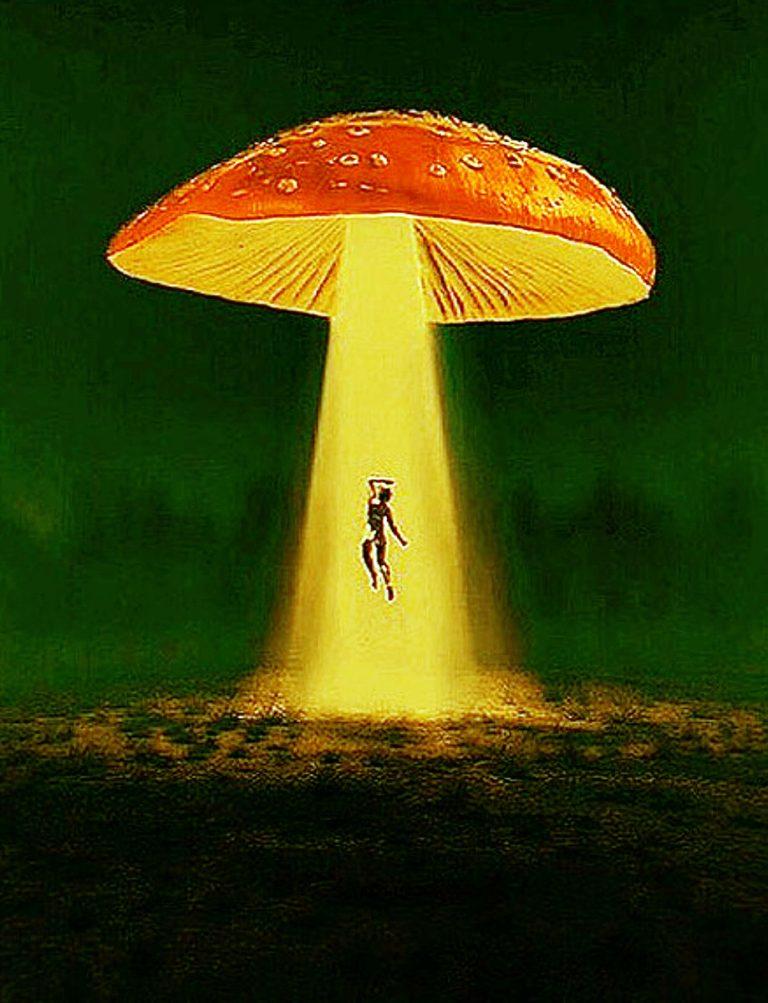 12 Things to Do on Shrooms… Tell your subconscious we said hello