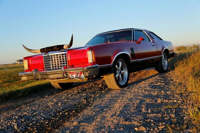 Seventh Generation Longhorn Thunderbird For Sale Seventh Generation Longhorn Thunderbird For Sale
