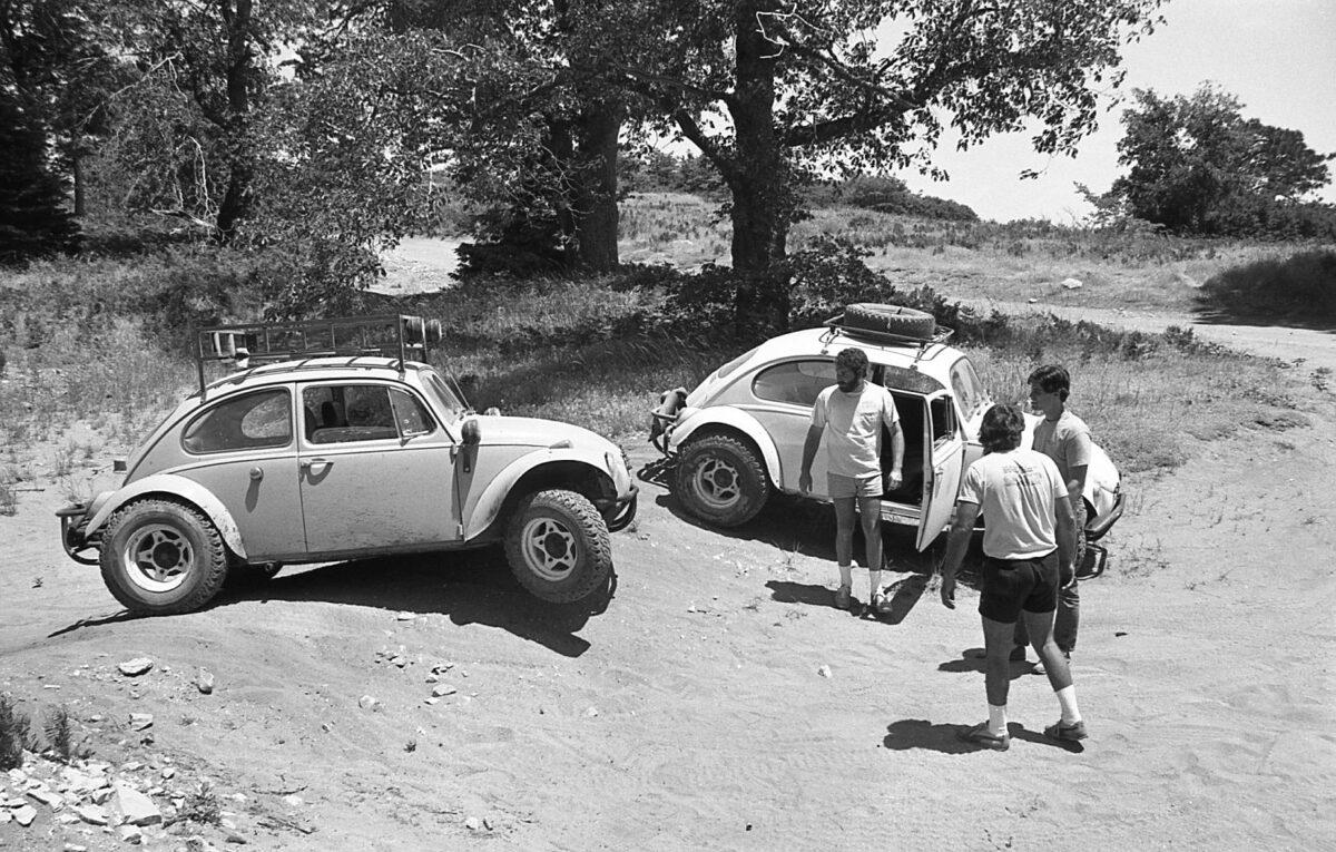 Baja Bugs between friends Baja Bugs between friends