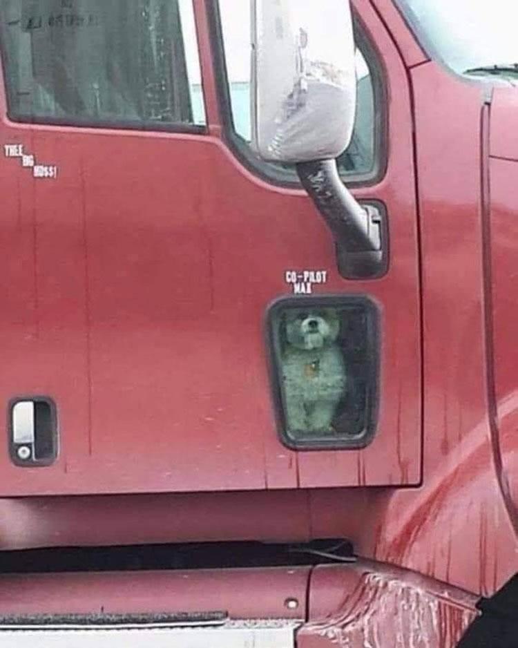 Max is my Copilot